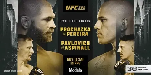 UFC-295-Prochazka-vs-Pereira-En-Vivo-y-Repeticion